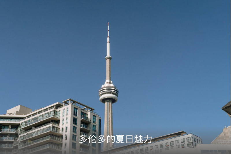 视频2